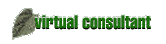 Consultant